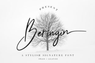 Beringin: The Elegant Script Handwritten Font for Modern Web Design