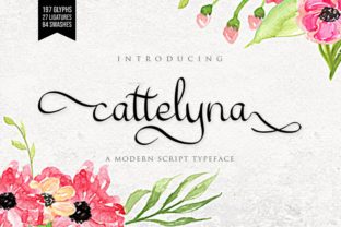 Cattelyna: The Modern Script Typeface for Elegant Campaigns