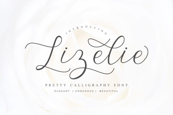 Lizelie: A Contemporary Script Handwritten Font for Modern Brands