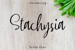 Stachysia: The Handwritten Typeface for Authentic Campaigns