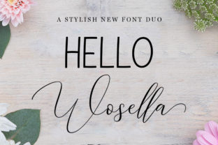 Wosella Duo: The Bold Script Handwritten Font for Standout Campaigns